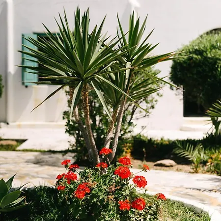 Horizon Nest Mykonos Ornos! بيت للعطل